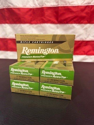 17 Remington Ammo