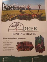 Hunting In Poland - 1 of 1