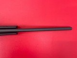 Remington 700 .223
with Remington 4-12x40 scope. - 12 of 15