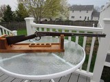 RARE Winchester Model 1886 40-70 Rifle Only 629 Made in this caliberFREE SHIPPING - 2 of 20