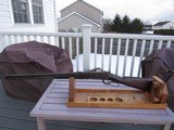 SPECIAL ORDER Winchester Model 1886 Rifle Cal 38-56, Antique, With Provenance - 6 of 15