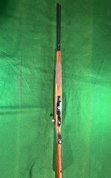 Ruger M77 African .223 - 3 of 5