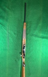 Ruger Hawkeye M77 .223 - 3 of 5