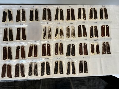 1911 AMERICAN STAG GRIPS