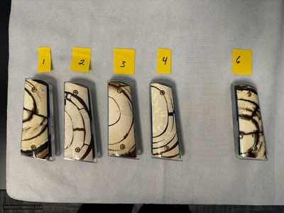 MAMMOTH IVORY 1911 GRIPS