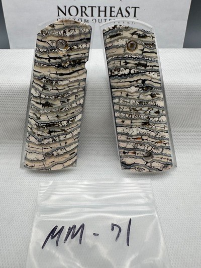 CUSTOM MAMMOTH MOLAR 1911 PISTOL GRIPS - Image 1 of 1