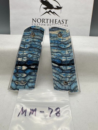 CUSTOM MAMMOTH MOLAR 1911 PISTOL GRIPS - Image 1 of 1