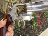 Colt Python 357 Magnum Stainless Factory Fired Only - 8 of 16