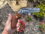 Factory Lettered ColtPython in a Lustrous Nickel Finish - 5 of 15