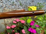Remington 700 BDL Varmint heavy barrel - 11 of 15