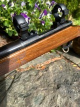 Remington 700 BDL Varmint Heavy Barrel - 5 of 14