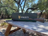 FAUSTI DEA SXS 20 GAUGE - 3 of 15