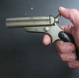 Colt - 3 of 7
