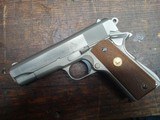 Colt - 3 of 6