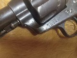 Colt - 3 of 15