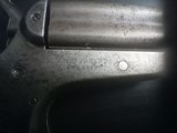 Colt - 6 of 7