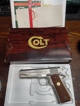 Colt - 1 of 6
