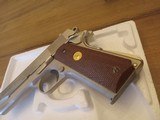 Colt - 2 of 5