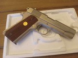 Colt - 5 of 5