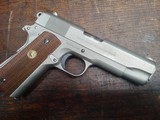 Colt - 5 of 6