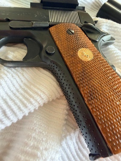 Colt 