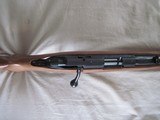 Ruger American 22LR - 15 of 15