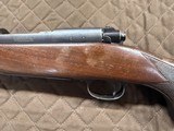 Pre 64 Model 70 300 Winchester Magnum - 10 of 12