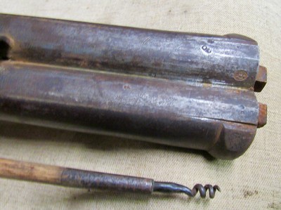 Antique Belgian 8 Bore Percussion Double Barrel Shotgun Market Gun 43 Inch Barrels 1850's - Image 20 of 20
