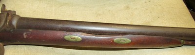 Antique Belgian 8 Bore Percussion Double Barrel Shotgun Market Gun 43 Inch Barrels 1850's - Image 10 of 20