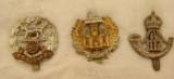 Collection of 21 British Army Cap Badges - 5 of 10
