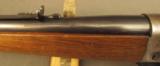 Winchester M. 95 Rifle in .303 British Built 1925 - 11 of 12