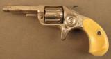 Engraved Colt .22 New Line Revolver 90-95% - 5 of 11