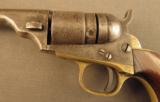 Colt 3 1/2 Inch Round Barrel Cartridge Conversion Revolver - 7 of 12