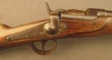 Antique Werndl M 1867 Infantry Rife - 4 of 12