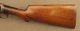 1897 Winchester
Riot Gun Shotgun - 7 of 12