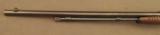 Prewar Winchester M62 Pump Rifle Excellent bore Built 1937 - 9 of 12