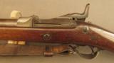 U.S. Model 1877 Trapdoor Rifle by Springfield Armory - 7 of 12