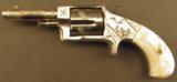 Rare Engraved and Enameled Iver Johnson Tycoon Antique Revolver - 5 of 12
