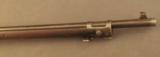Very Nice U.S. Model 1892 Krag-Jorgensen Rifle (Altered to 1896 Specs) - 6 of 12