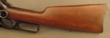 Fine Winchester 1895 Saddle Ring Carbine .30 Gov - 6 of 12