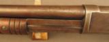 Antique Winchester 1893 Shotgun - 9 of 12