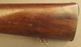 Rare Alexander Henry New South Wales Mounted Police Carbine - 6 of 12