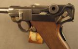 Swiss Model 1906 Luger Pistol by DWM - 5 of 12