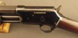 Very fine Colt Medium Frame lightning Rifle - 7 of 12