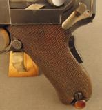 Excellent Commercial DWM 1900 American Eagle Luger - 6 of 12