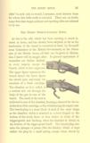 Handbook of Rifle Shooting Including Henry, Snider, Enfield - 10 of 13