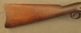 Spfld Model 1888 Trapdoor Rifle - 3 of 12