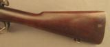 Springfield 1903 Rifle (Model of 1909) from the Roebling Collection - 7 of 12