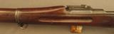 Springfield 1903 Rifle (Model of 1909) from the Roebling Collection - 9 of 12
