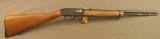 Ted Williams Rifle Model 34 semi-auto .22 By Sears - 1 of 12